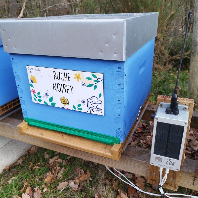 La ruche Noirey
