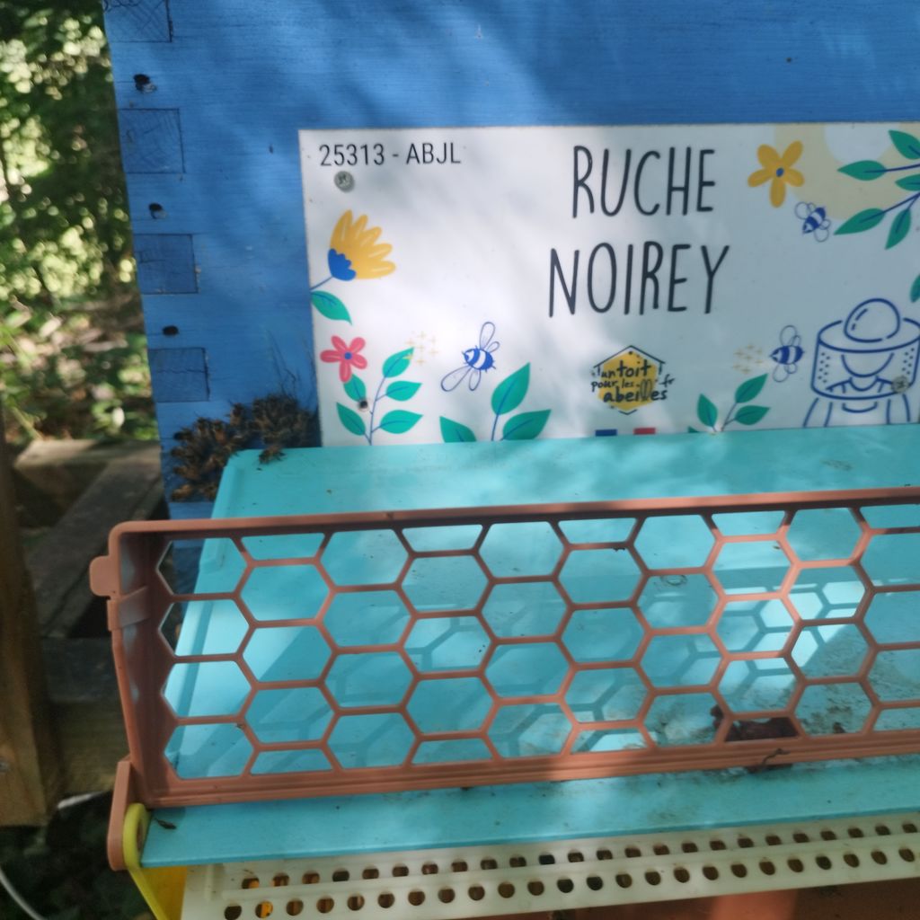 La ruche Noirey