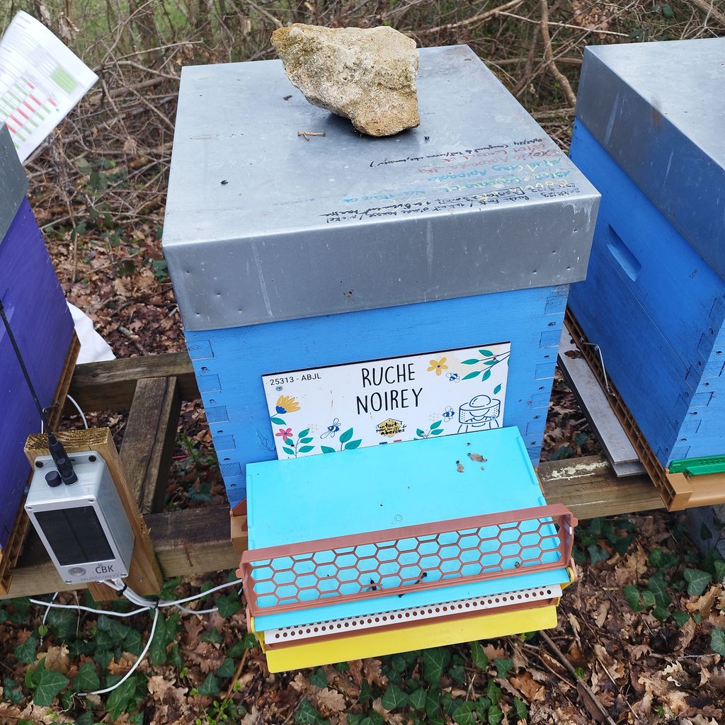 La ruche Noirey