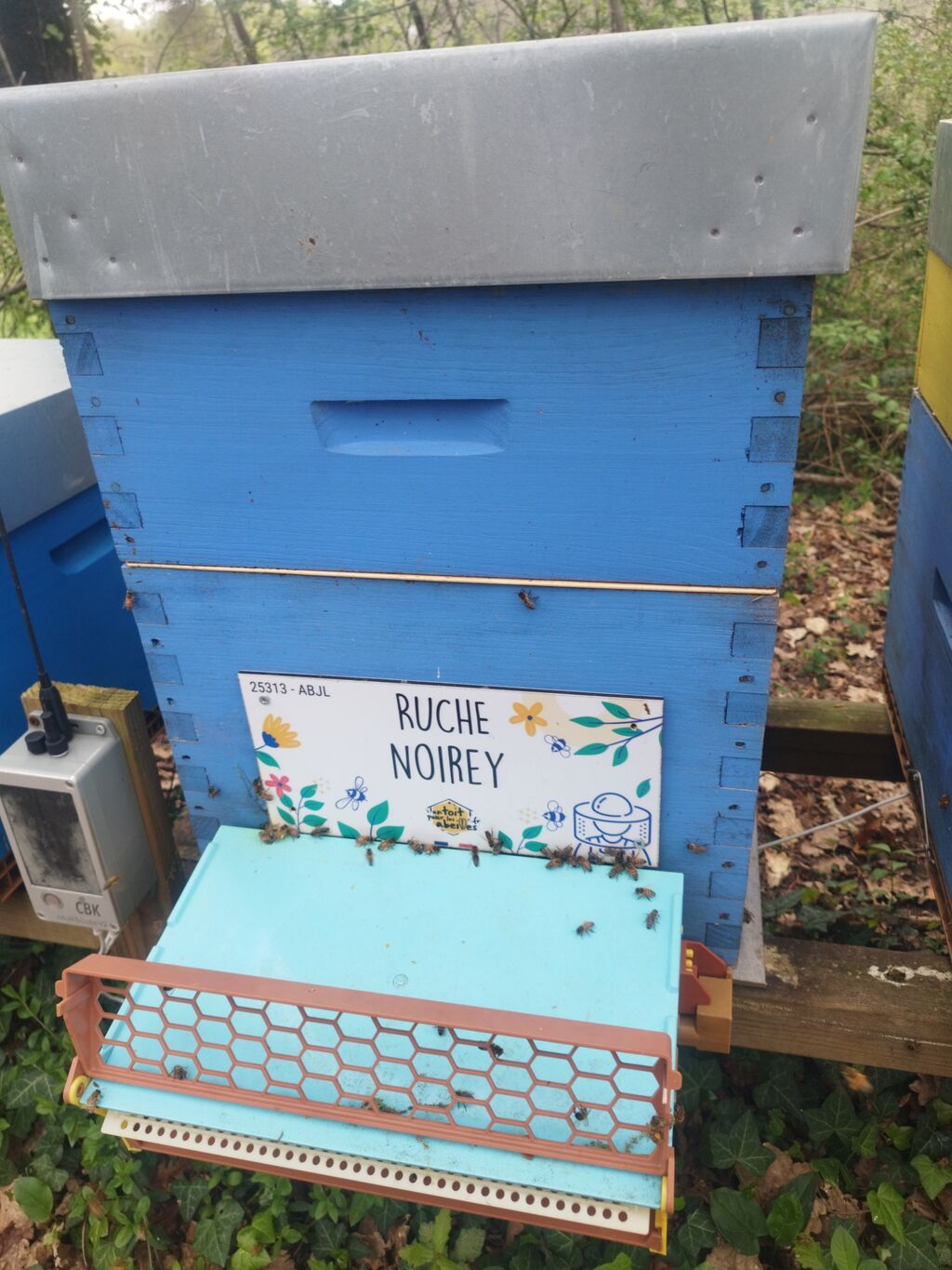 La ruche Noirey