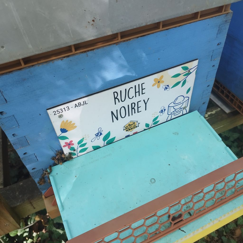La ruche Noirey