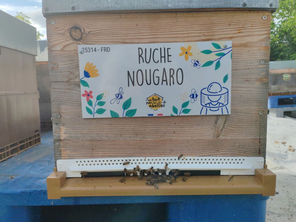 La ruche Nougaro