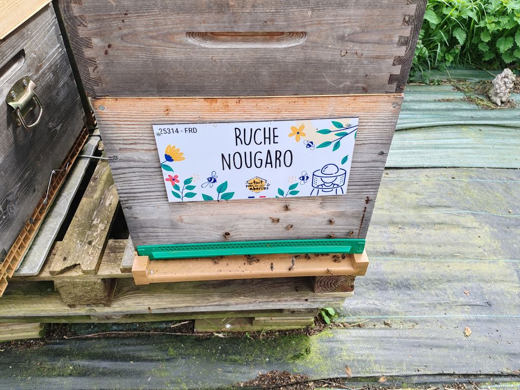 La ruche Nougaro