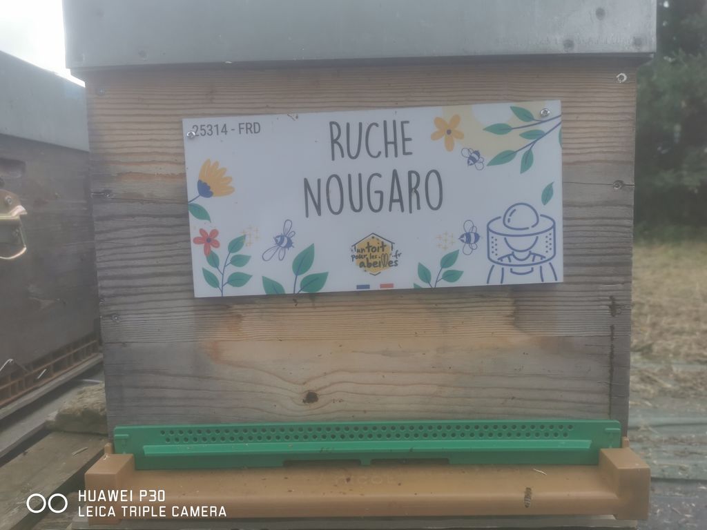 La ruche Nougaro
