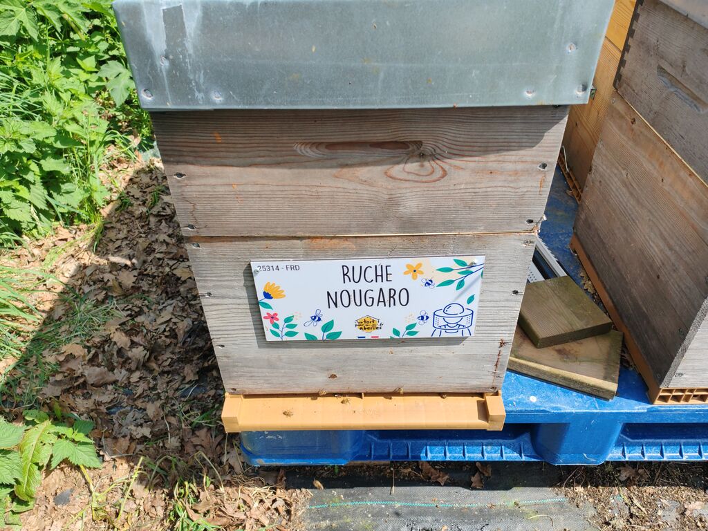La ruche Nougaro