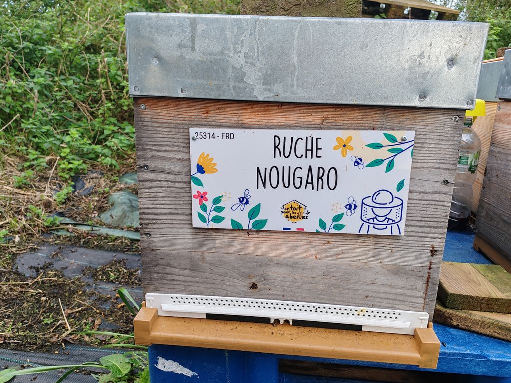 La ruche Nougaro