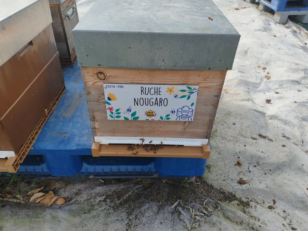 La ruche Nougaro