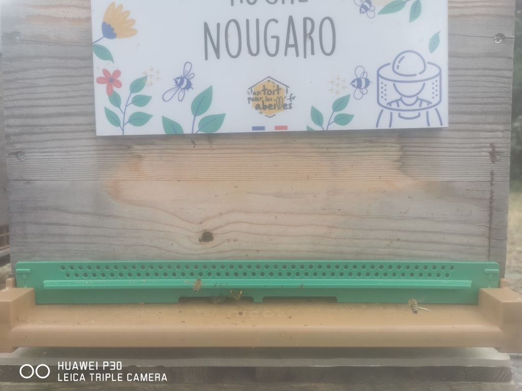 La ruche Nougaro