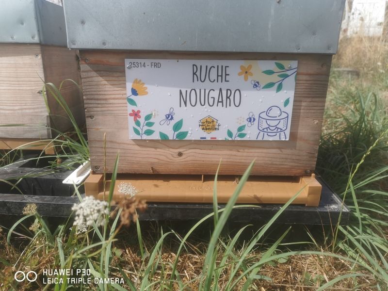 La ruche Nougaro