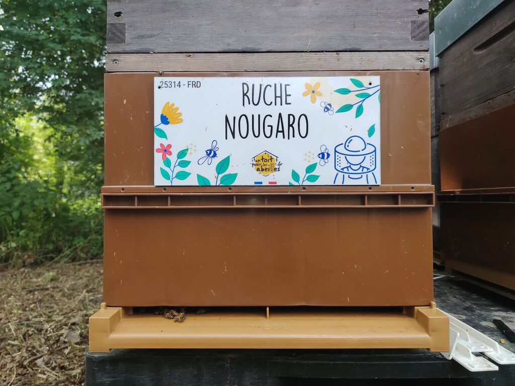 La ruche Nougaro