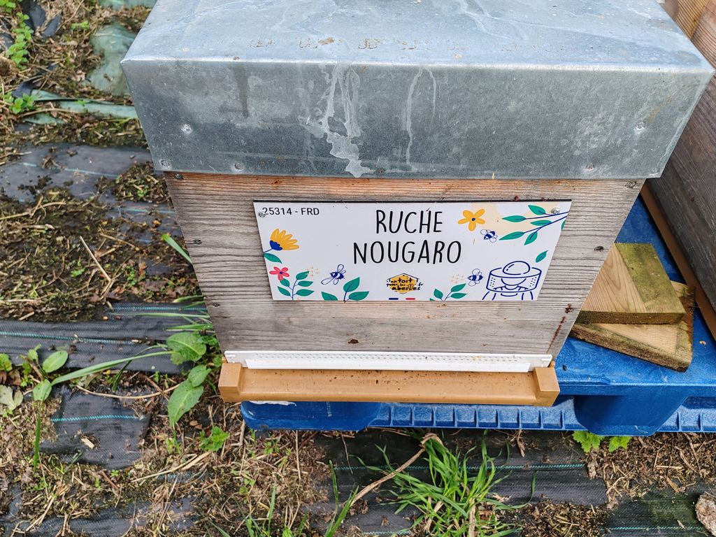 La ruche Nougaro