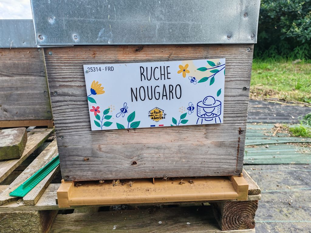 La ruche Nougaro