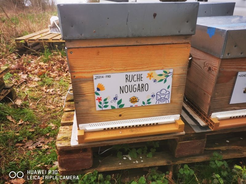 La ruche Nougaro