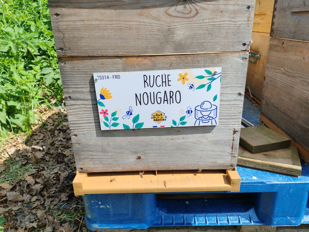La ruche Nougaro