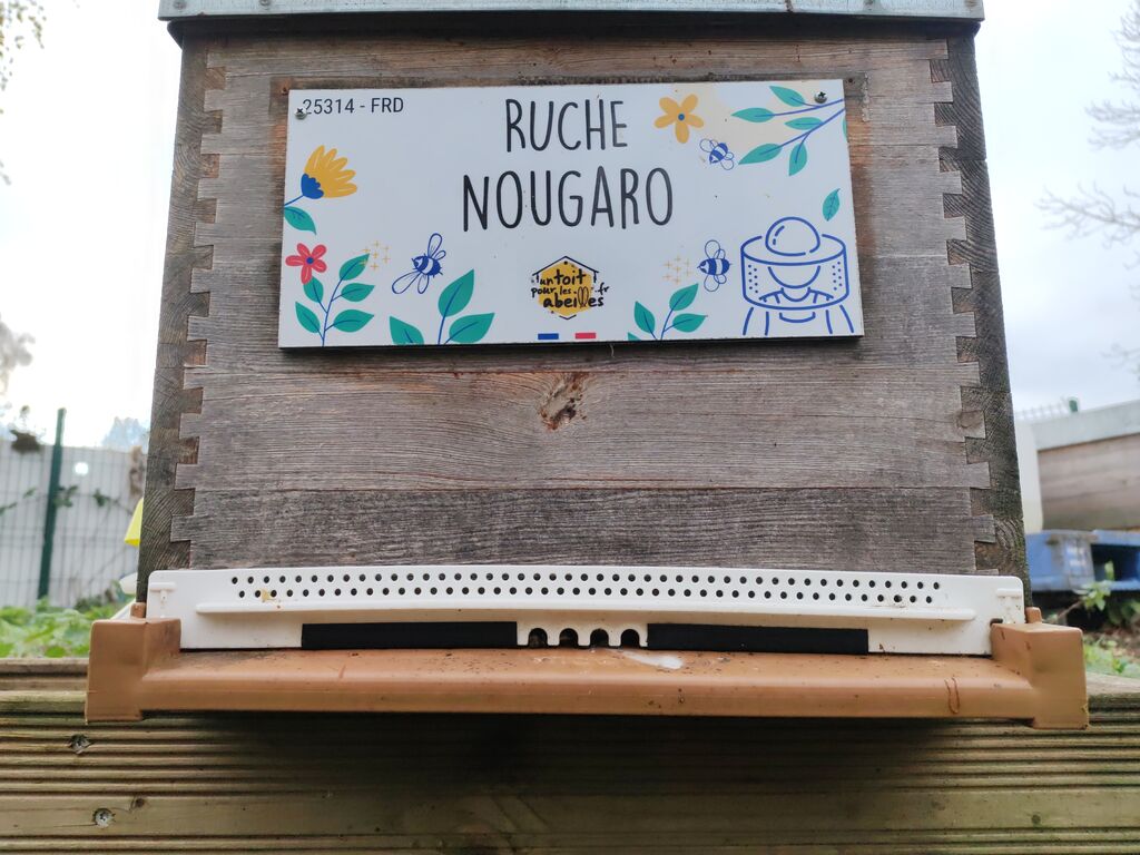 La ruche Nougaro