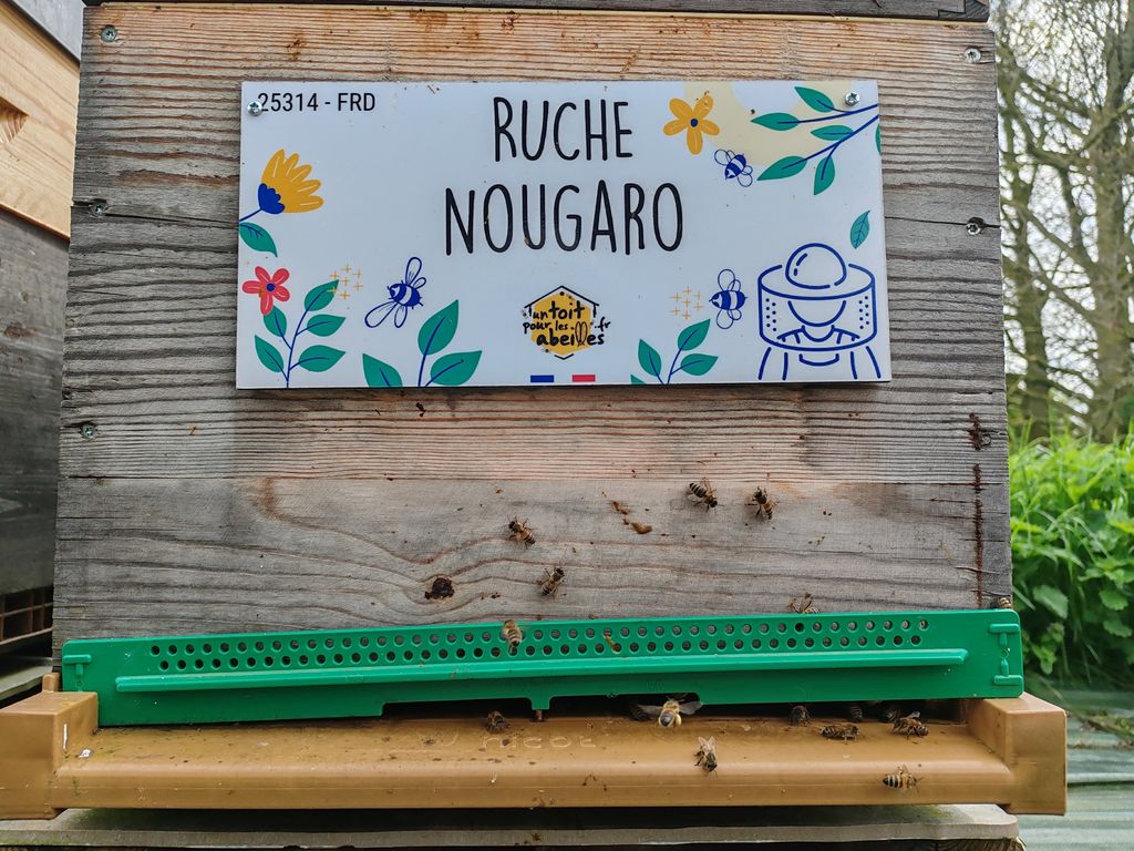 La ruche Nougaro