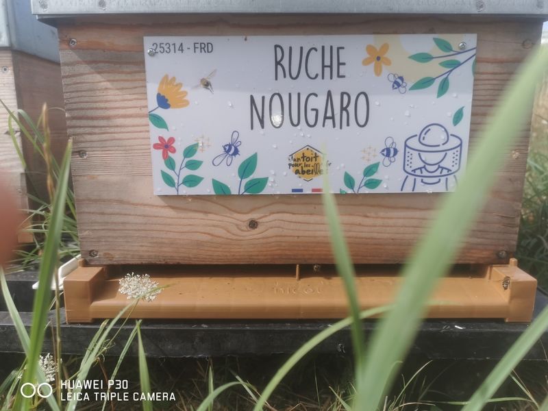 La ruche Nougaro