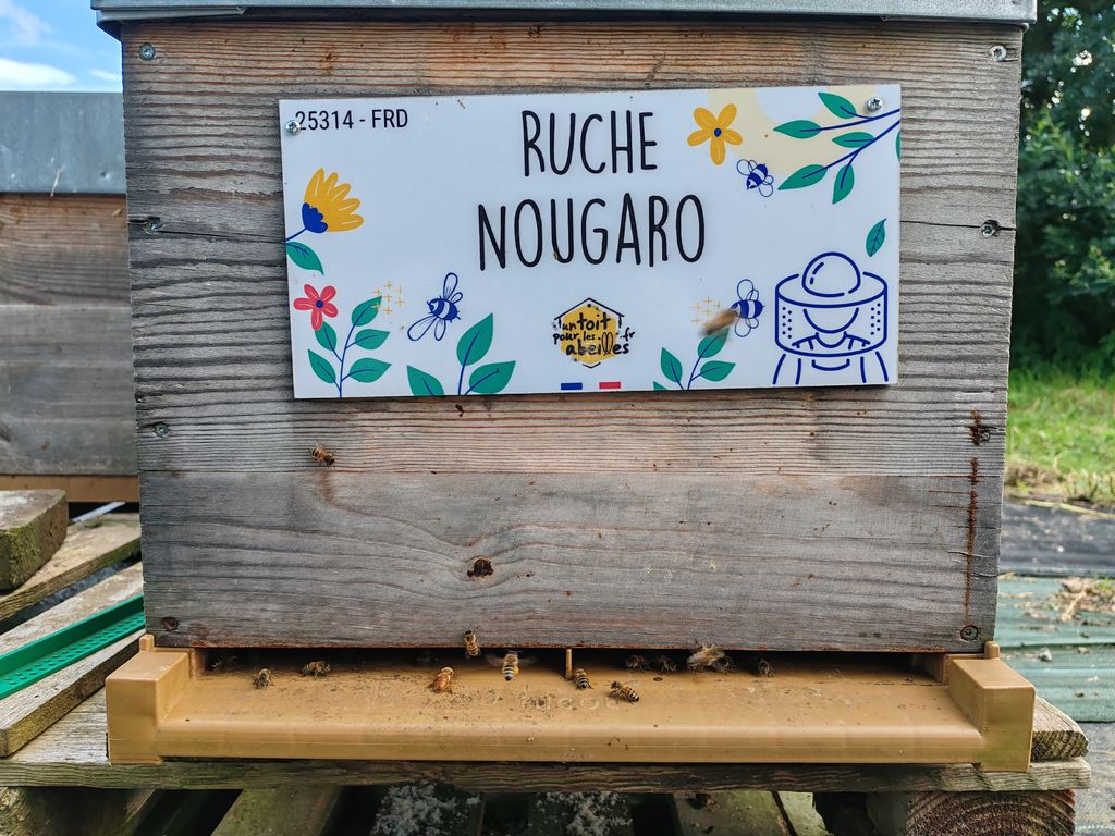 La ruche Nougaro