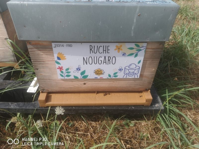 La ruche Nougaro