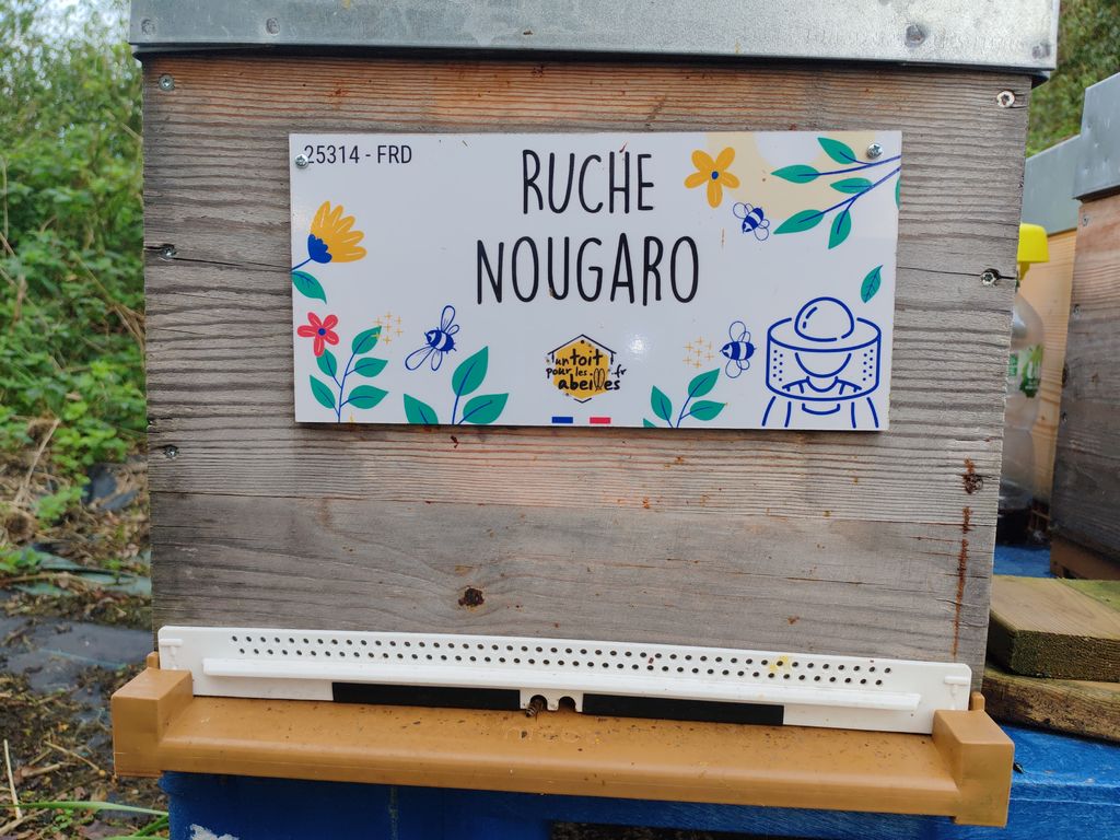 La ruche Nougaro