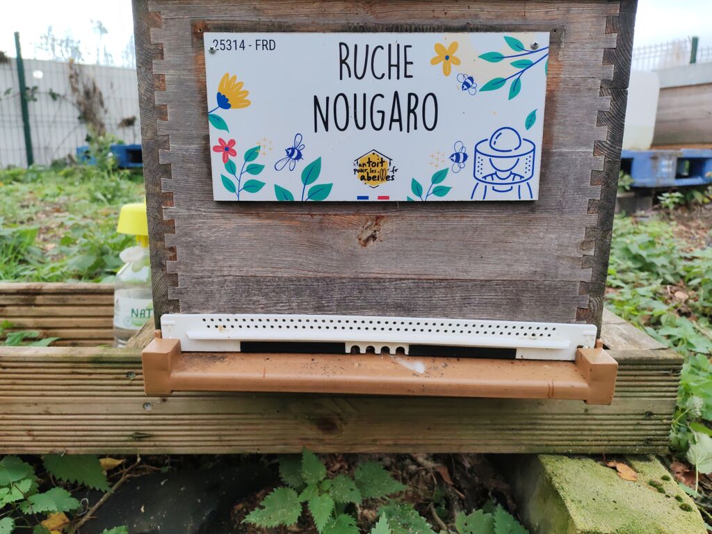 La ruche Nougaro