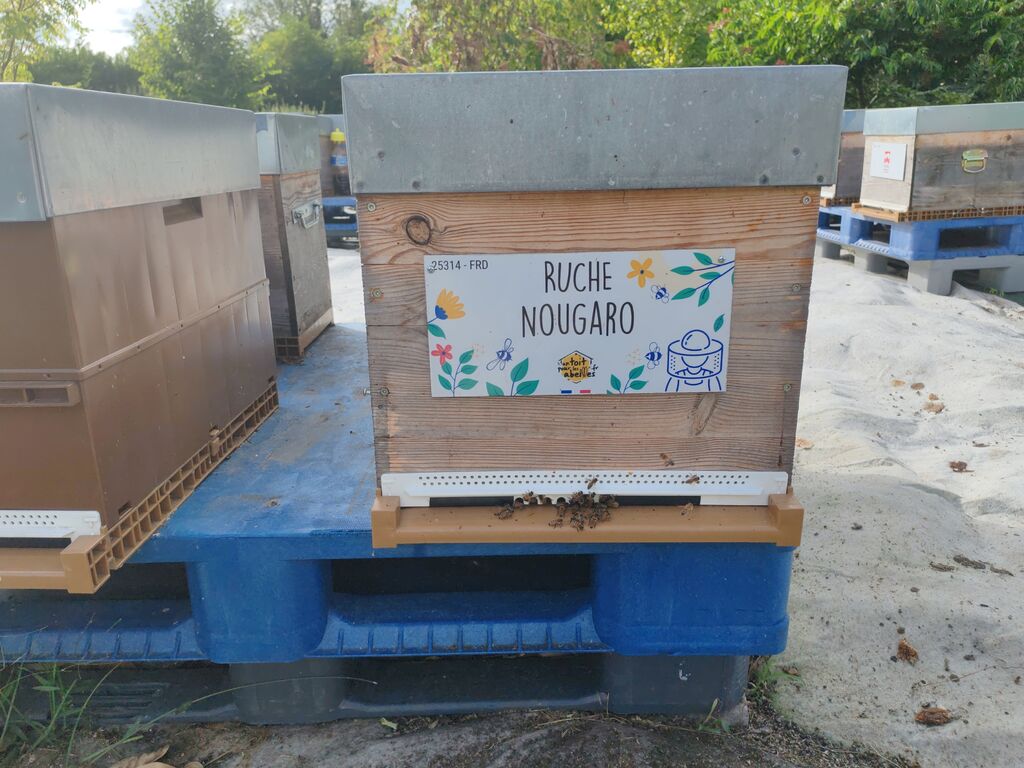 La ruche Nougaro