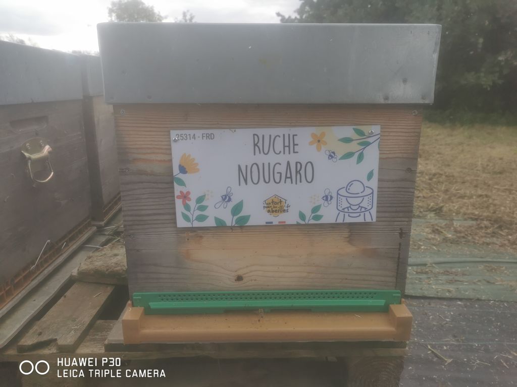 La ruche Nougaro