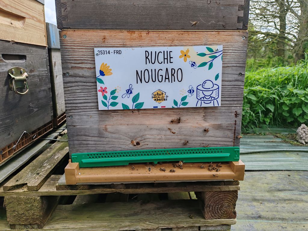 La ruche Nougaro