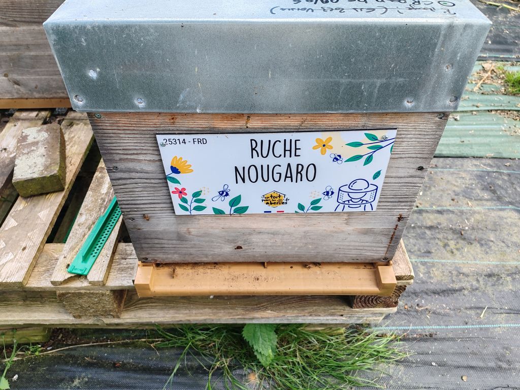 La ruche Nougaro