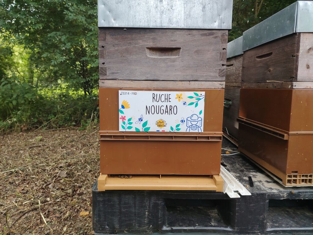 La ruche Nougaro