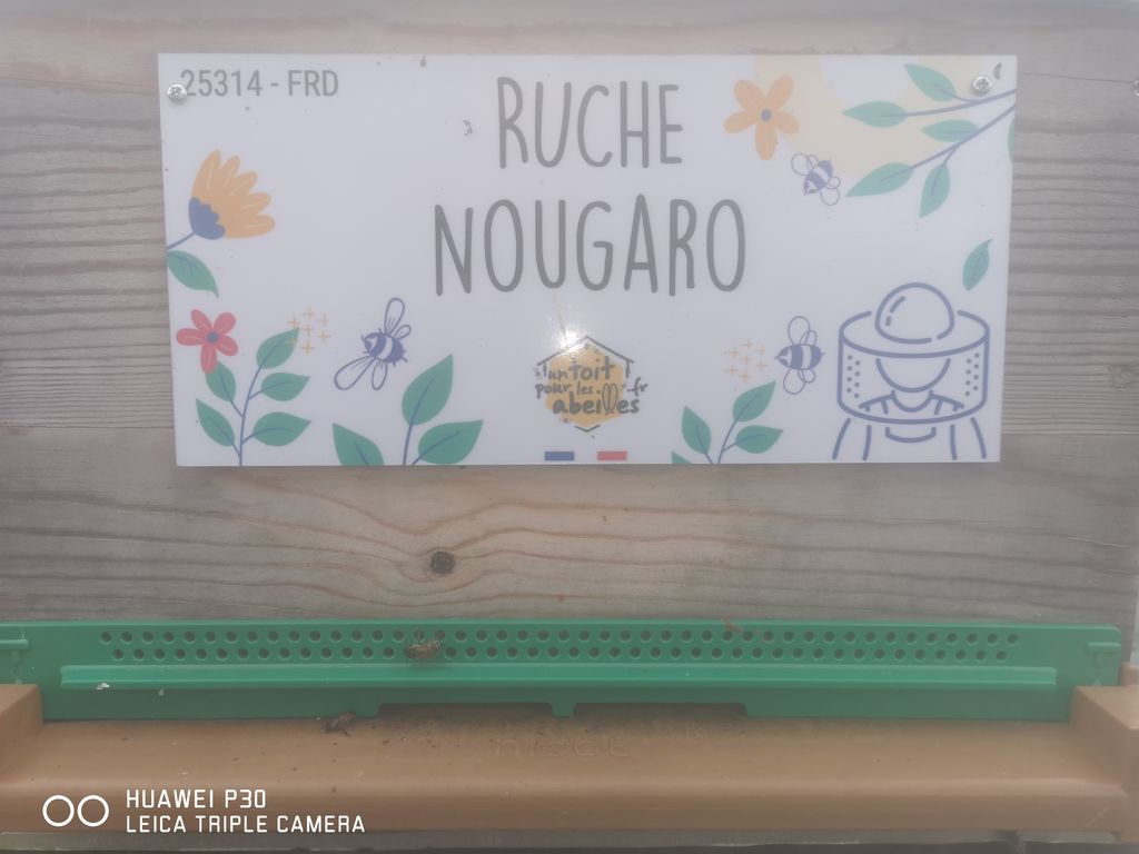 La ruche