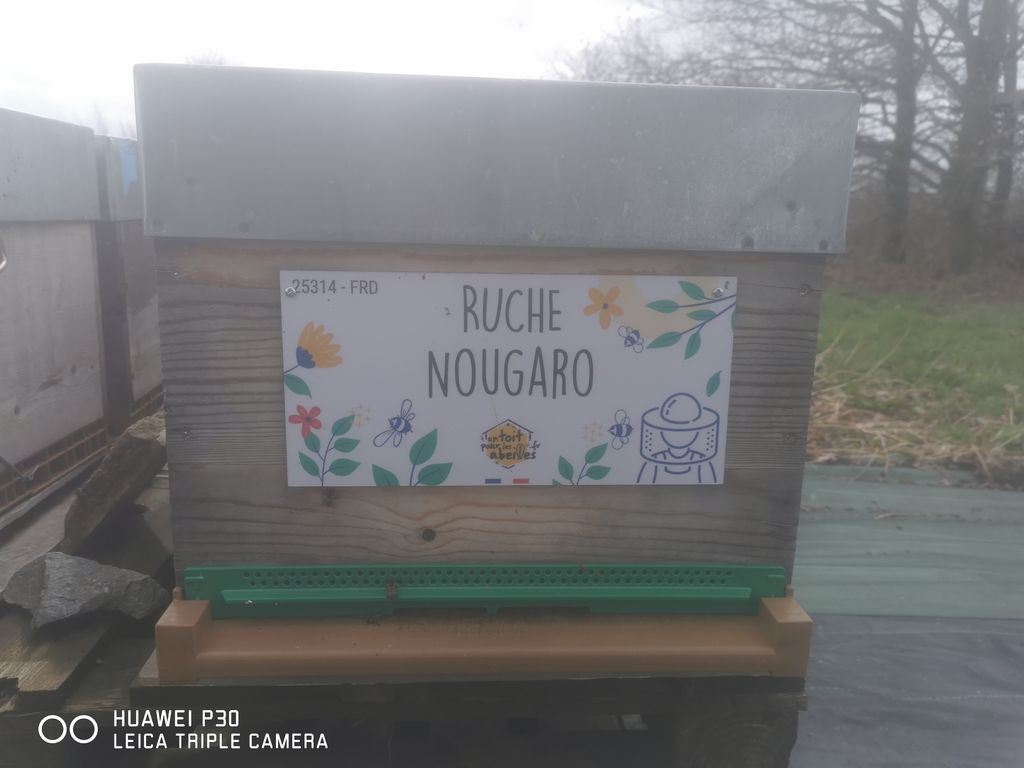 La ruche Nougaro