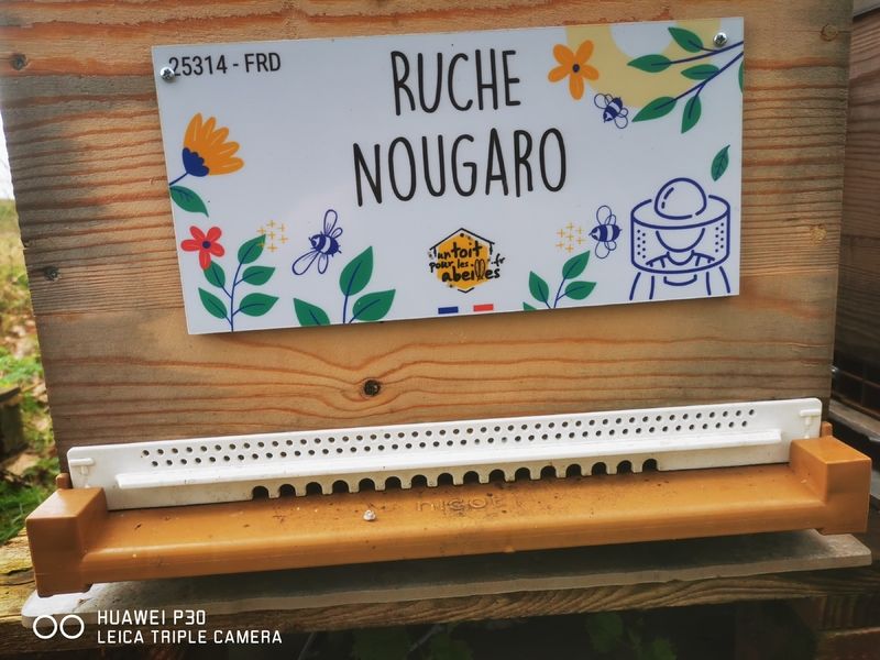 La ruche Nougaro