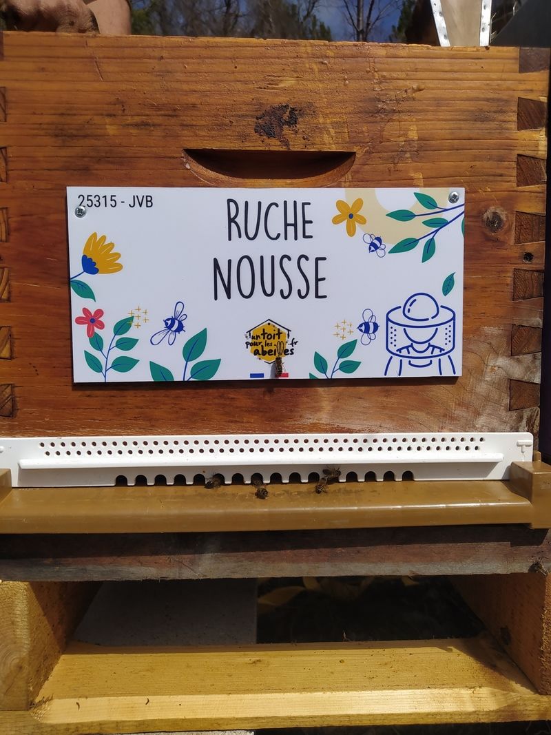La ruche