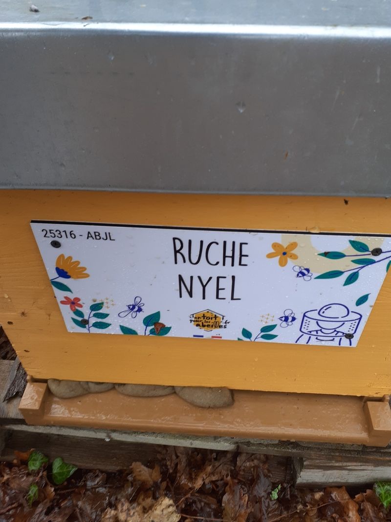 La ruche Nyel