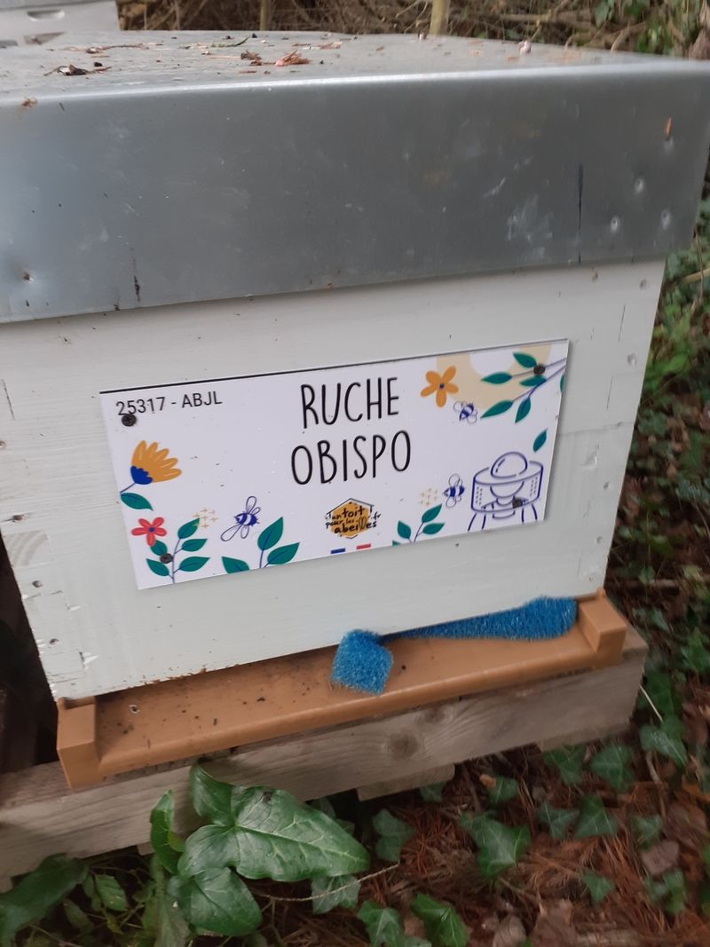 La ruche