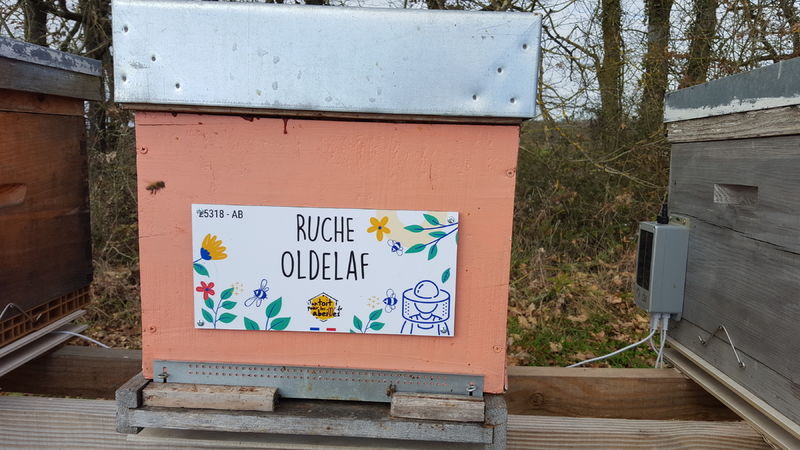 La ruche Oldelaf
