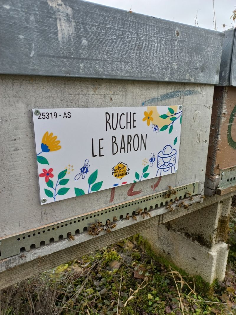 La ruche