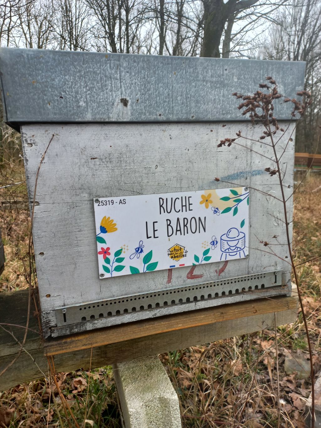 La ruche Le Baron