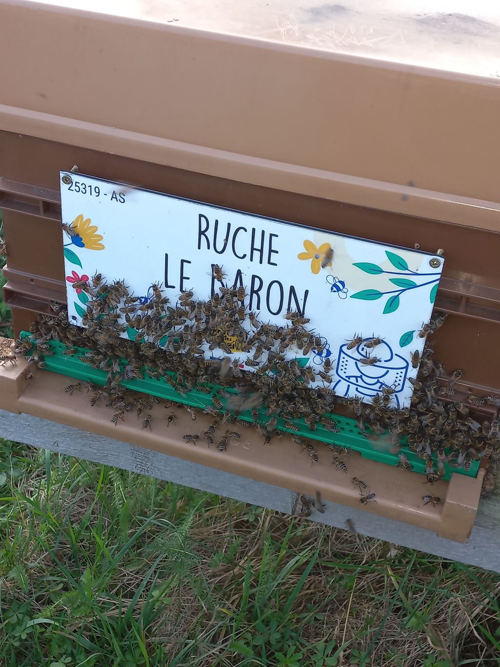 La ruche Le Baron