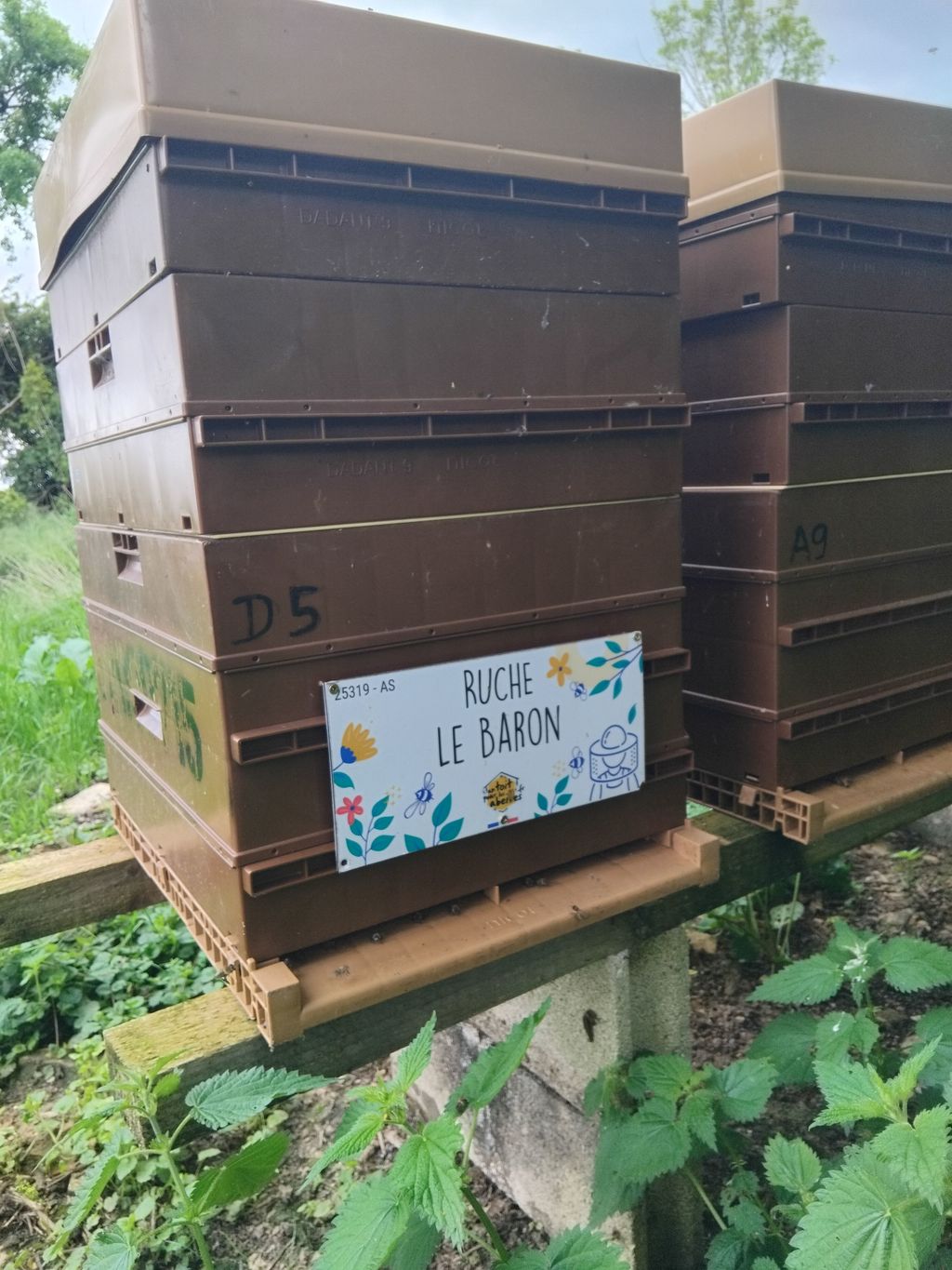 La ruche Le Baron