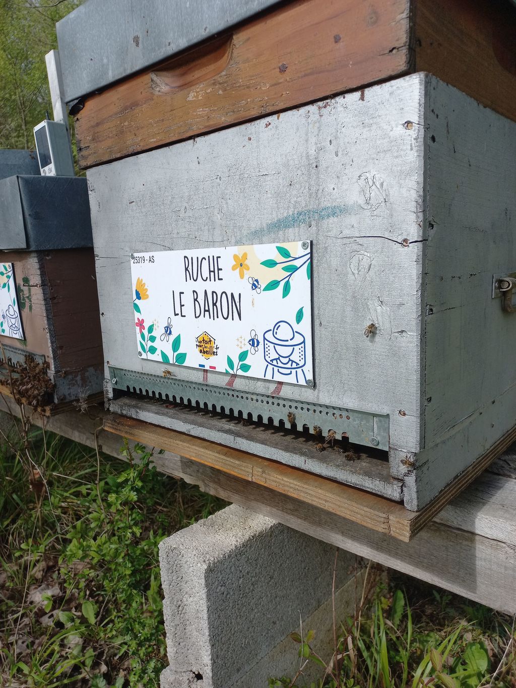 La ruche Le Baron