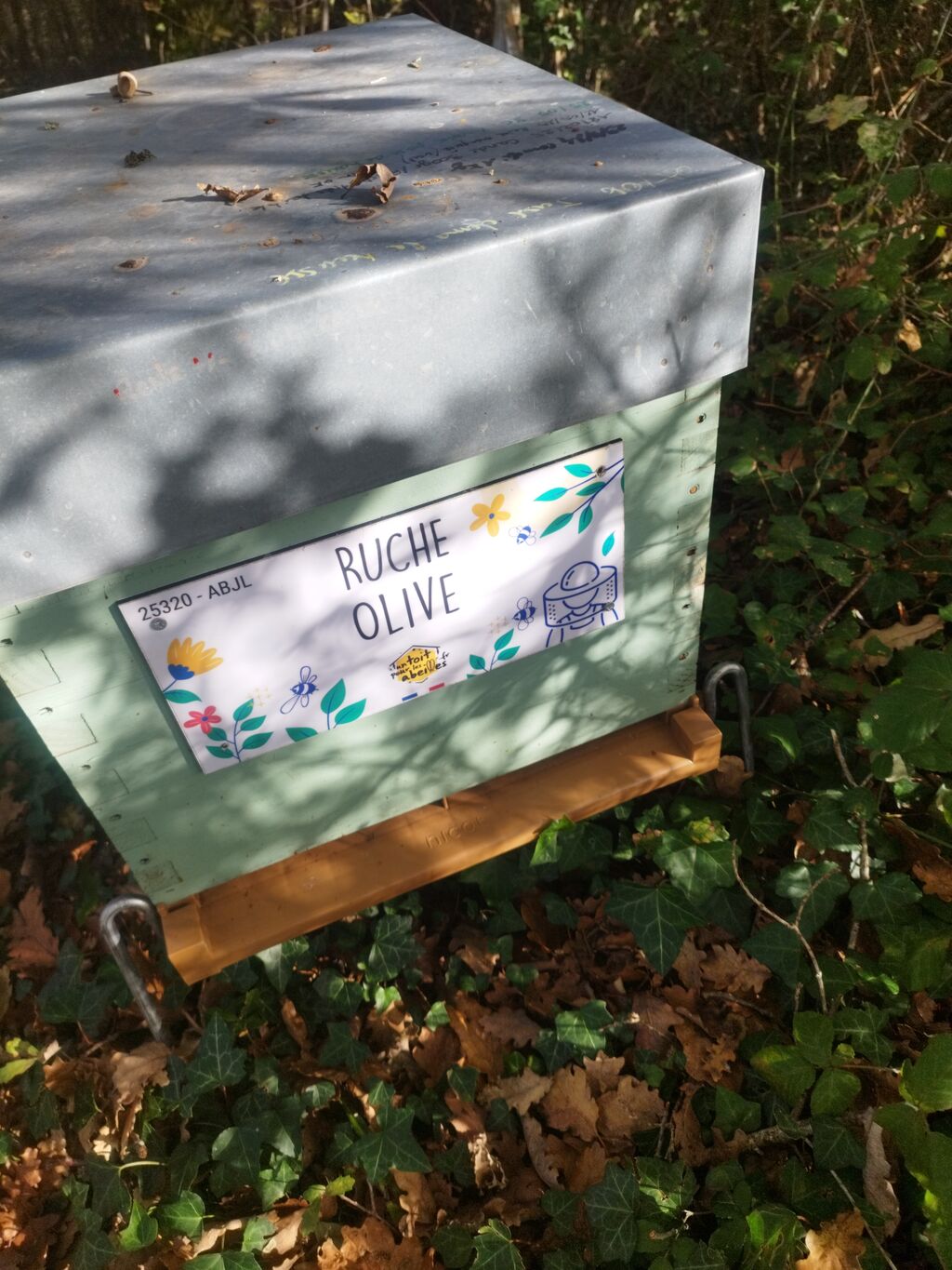 La ruche Olive