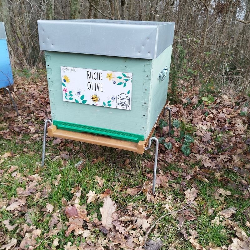 La ruche Olive