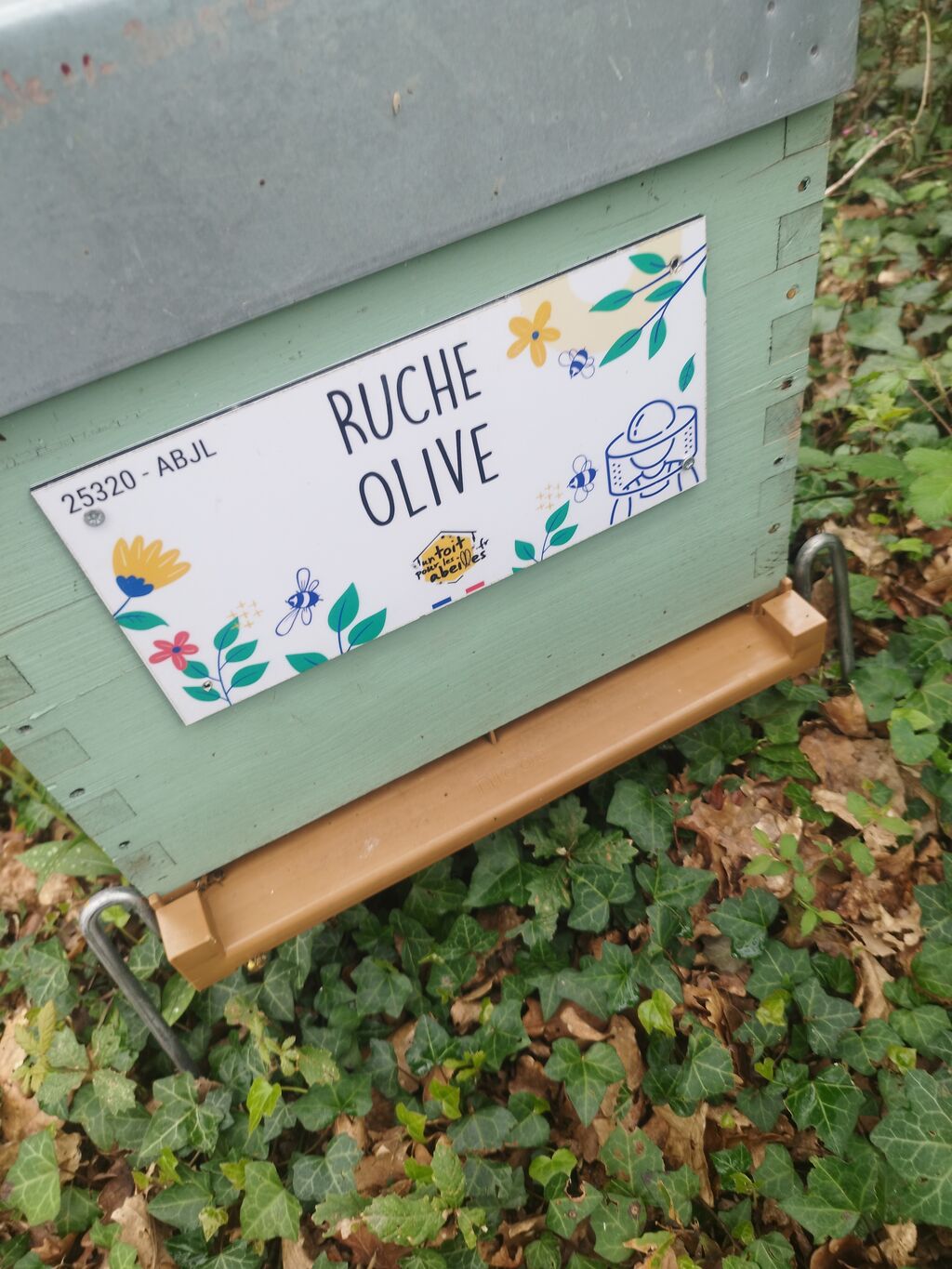 La ruche Olive