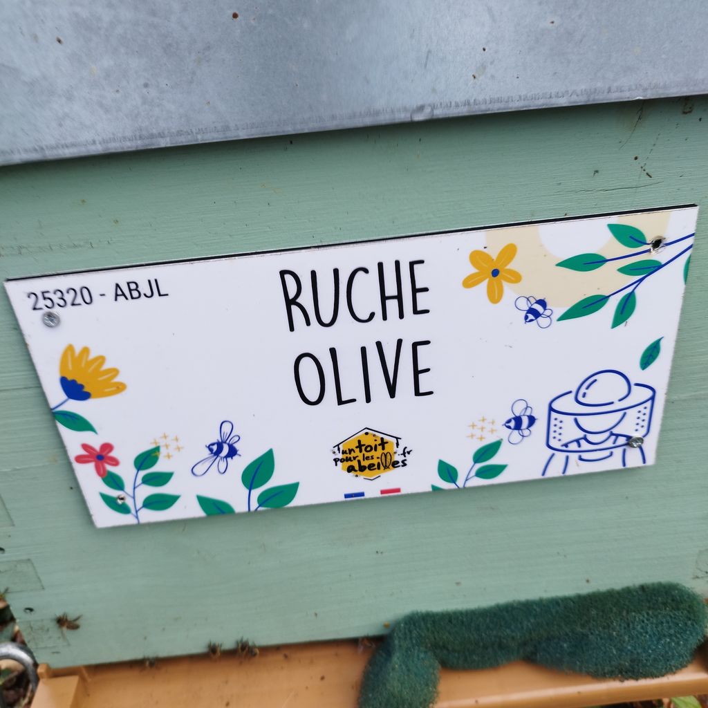 La ruche Olive