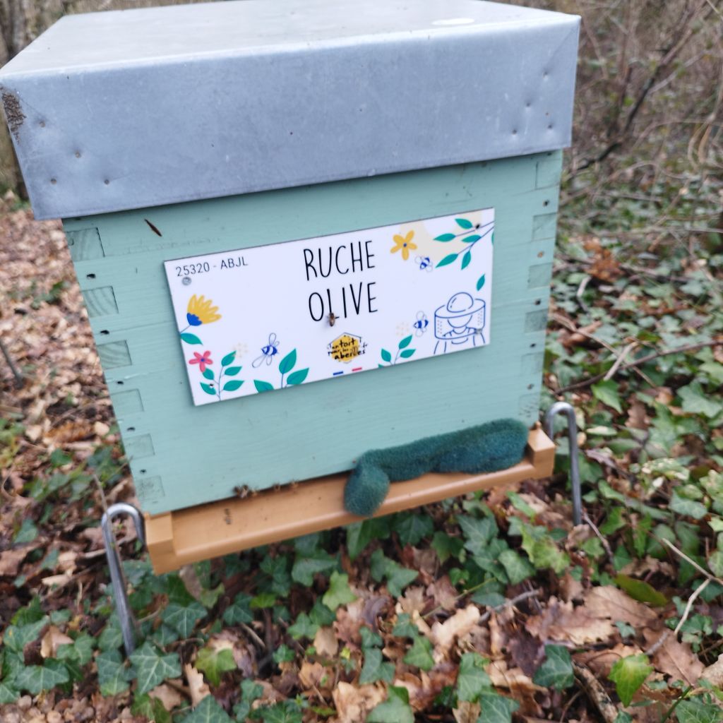 La ruche Olive