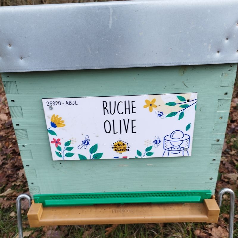 La ruche Olive