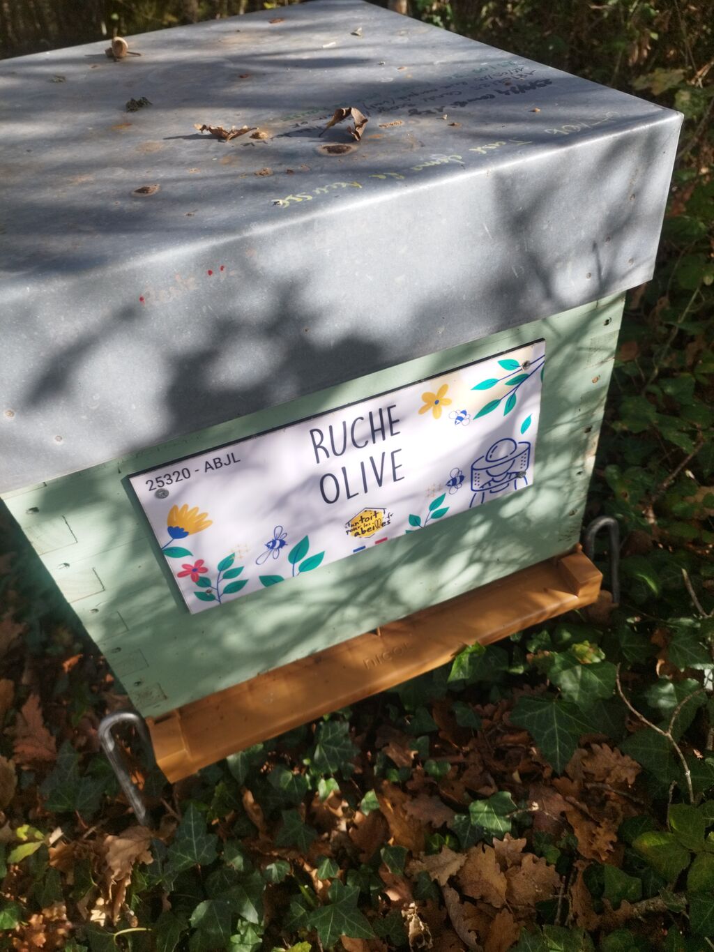 La ruche Olive