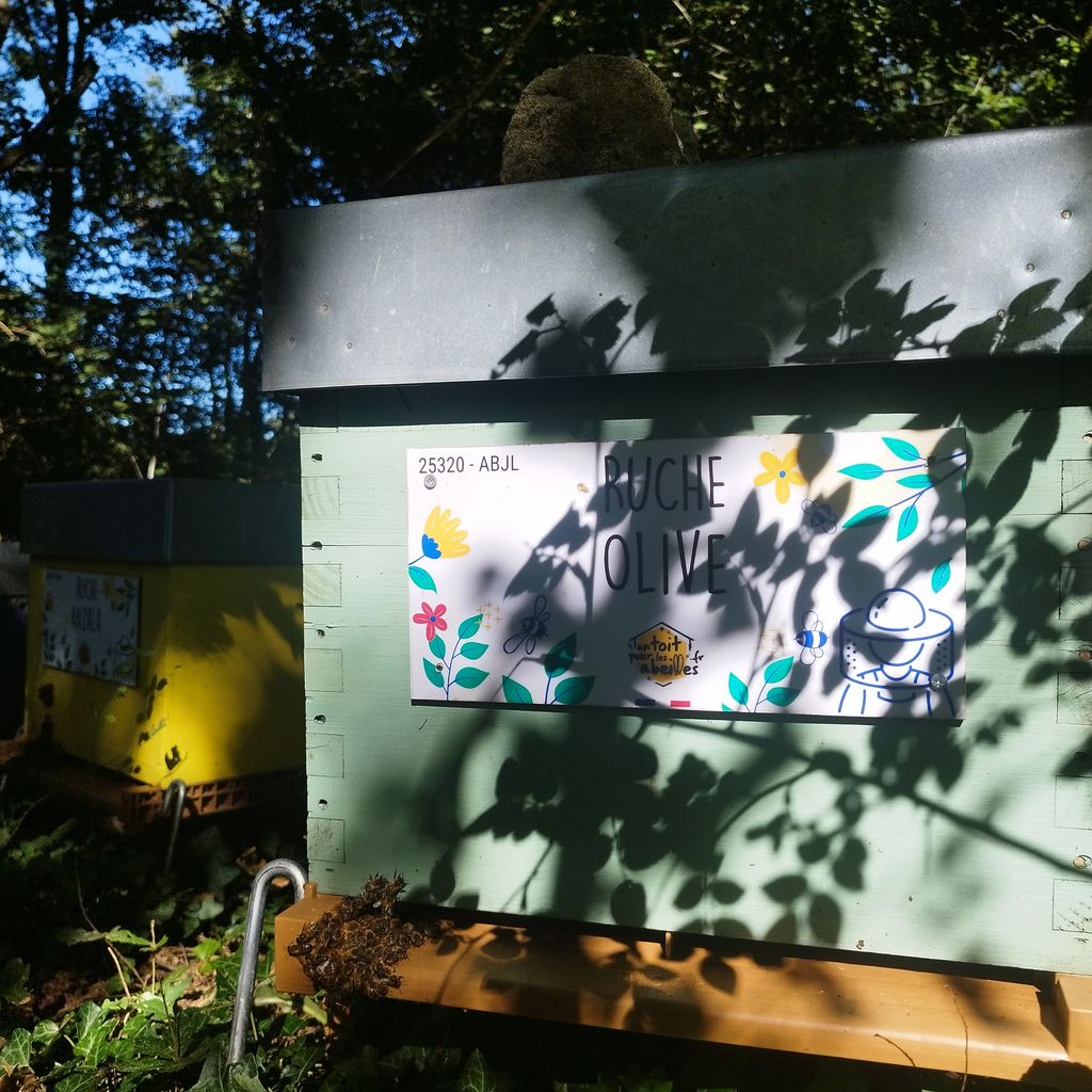 La ruche Olive